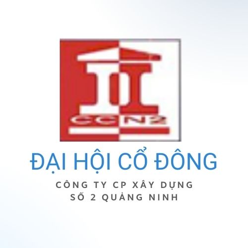Báo cáo tài chính năm 2024